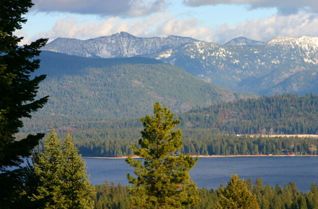 Featured Properties